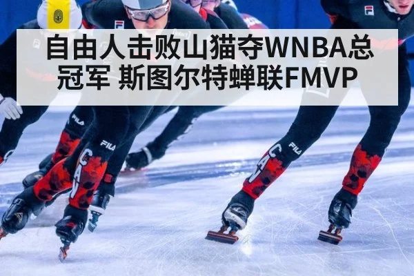 自由人击败山猫夺WNBA总冠军 斯图尔特蝉联FMVP