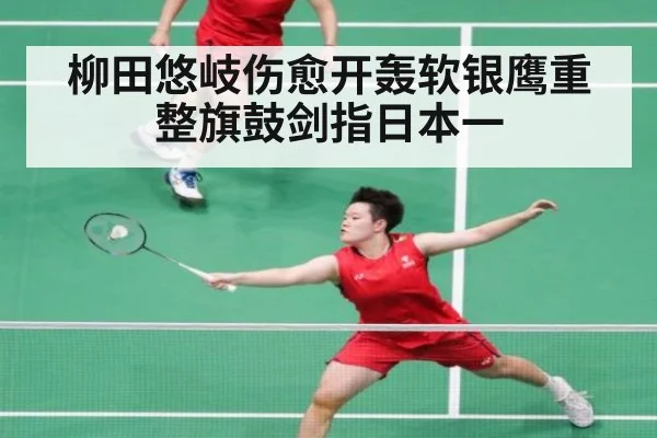 柳田悠岐伤愈开轰软银鹰重整旗鼓剑指日本一